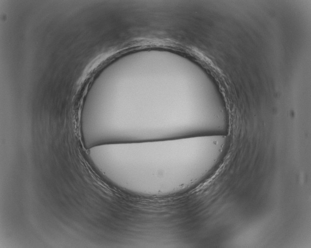 X0000067851215200604130911