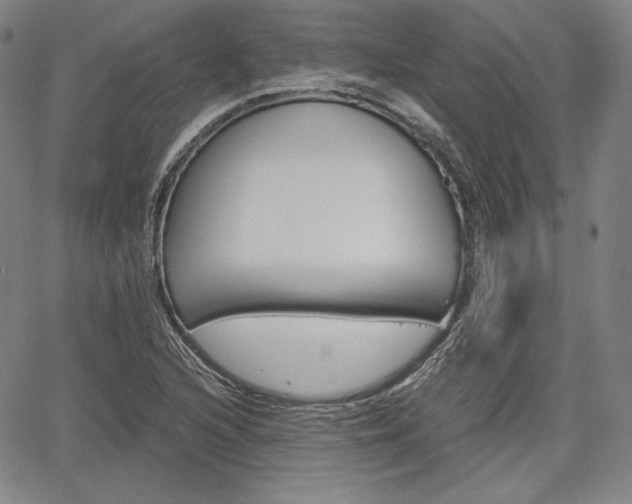 X0000067851216200604130911