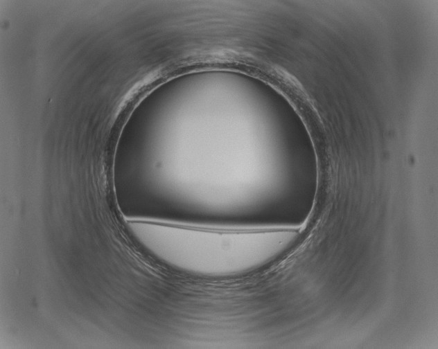 X0000067851218200604130911