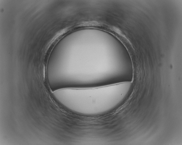 X0000067851221200604130911