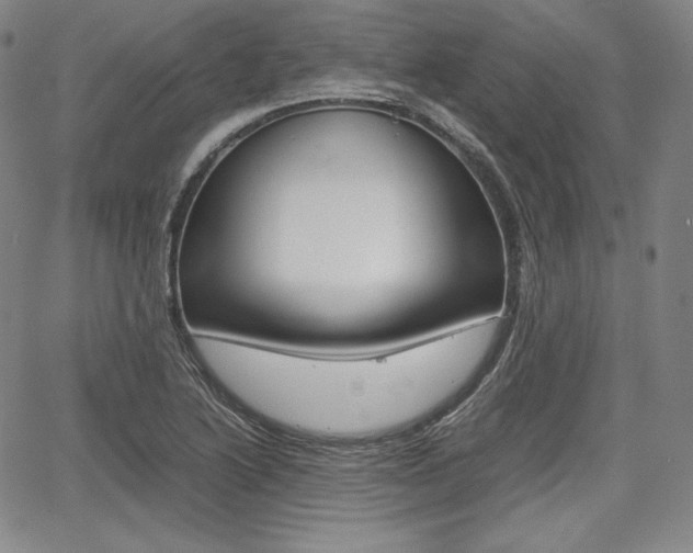 X0000067851222200604130911