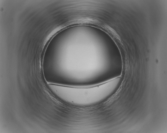 X0000067851226200604130911