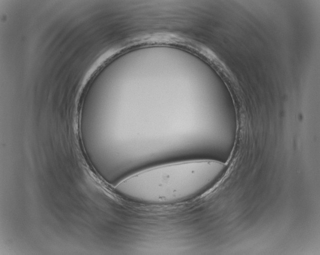 X0000067851232200604130911