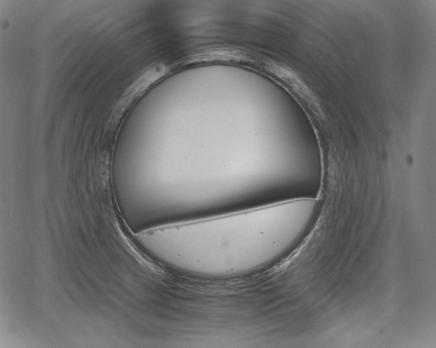 X0000067851233200604130911