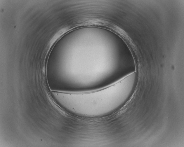 X0000067851234200604130911