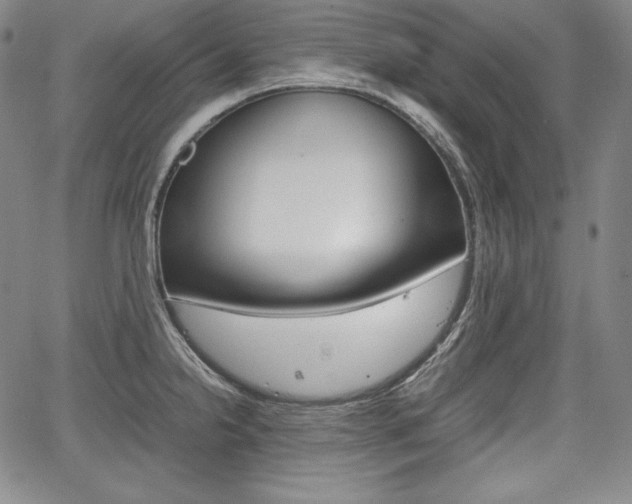 X0000067851238200604130911