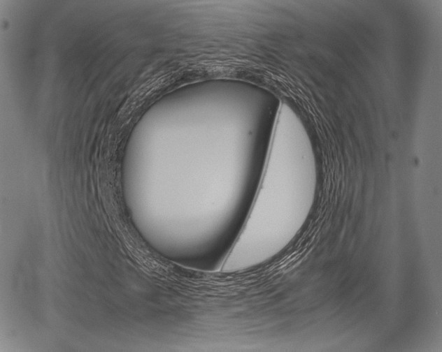 X0000067851249200604130910