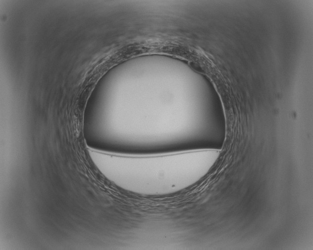 X0000067851253200604130910