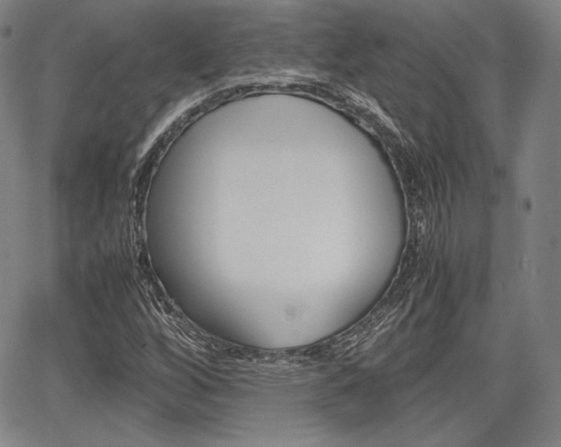 X0000067851256200604130910
