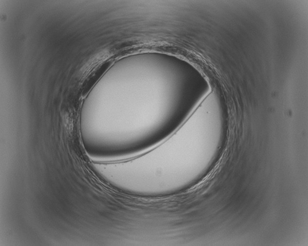 X0000067851257200604130910