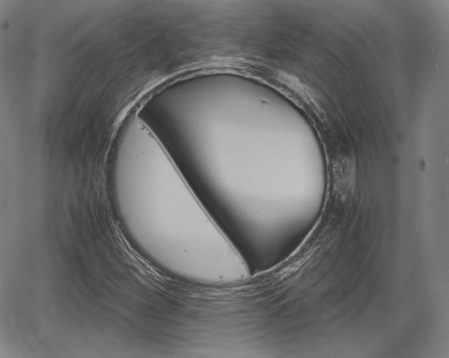 X0000067851260200604130910