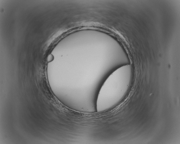 X0000067851263200604130910