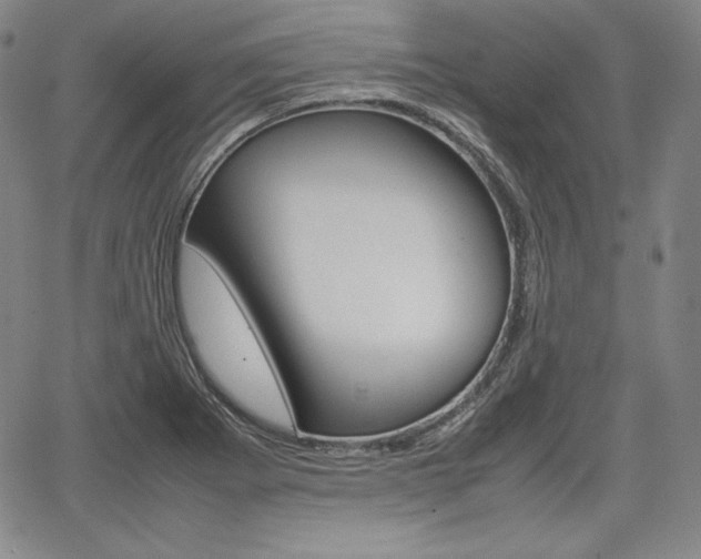 X0000067851273200604130910