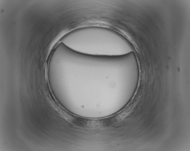 X0000067851275200604130910