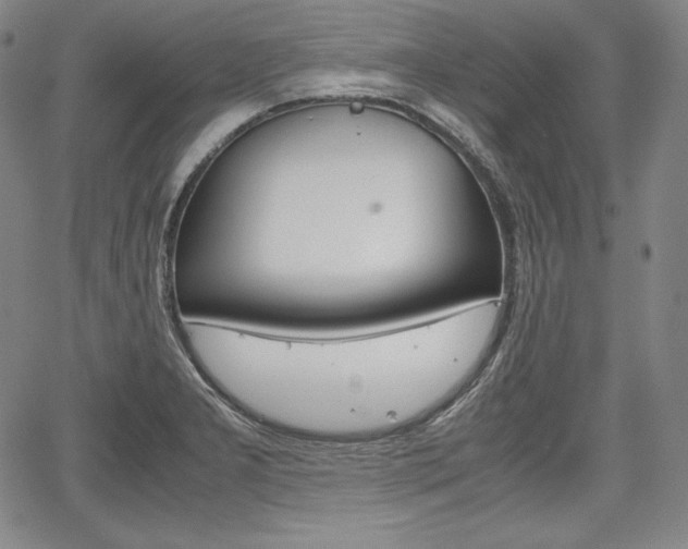 X0000067851277200604130910