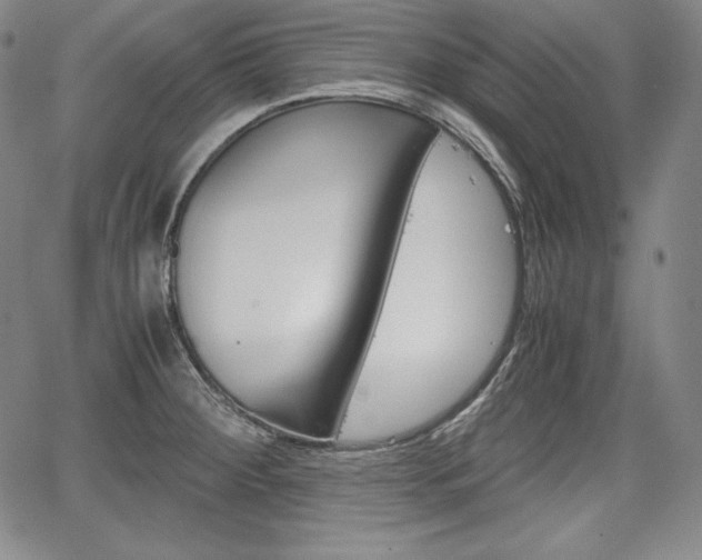 X0000067851284200604130910