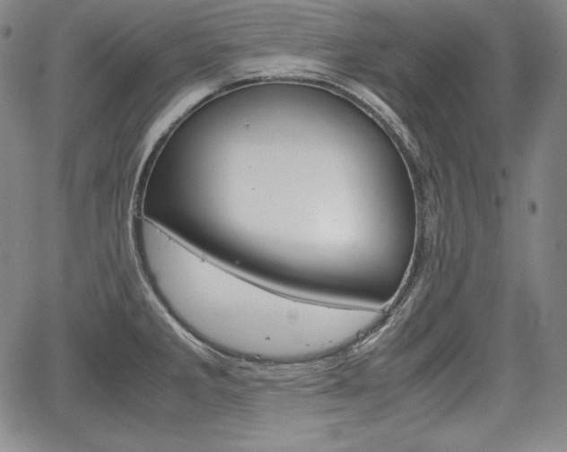 X0000067851285200604130910
