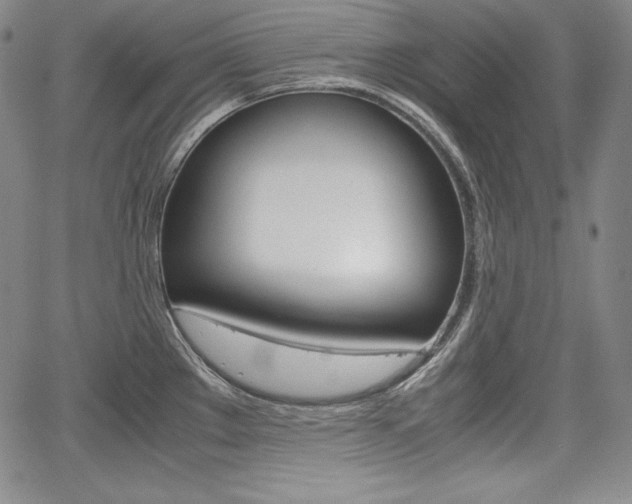 X0000067851289200604130910