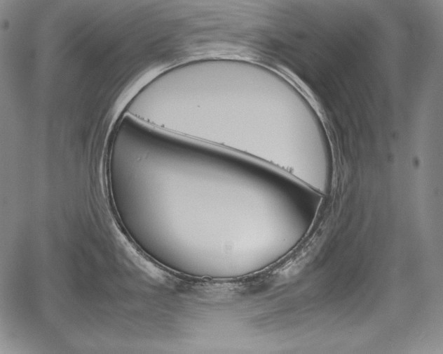 X0000067851293200604130910