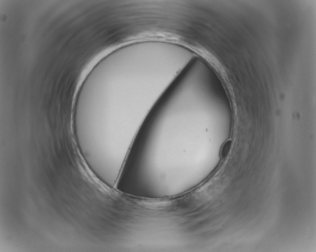 X0000067851296200604130910