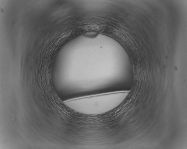 X0000067851297200604130909