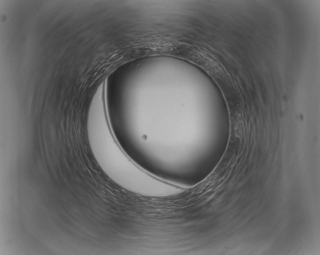 X0000067851298200604130909