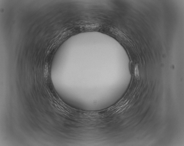 X0000067851299200604130909
