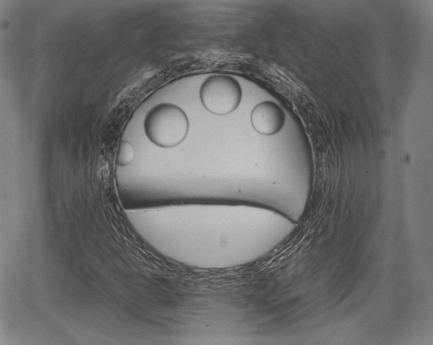 X0000067851302200604130909