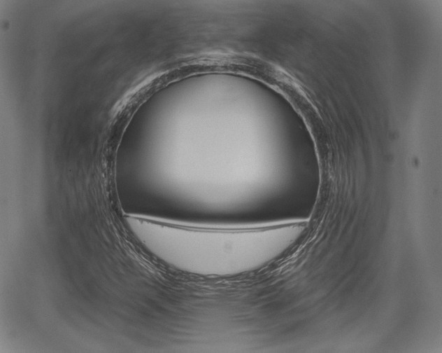 X0000067851304200604130909