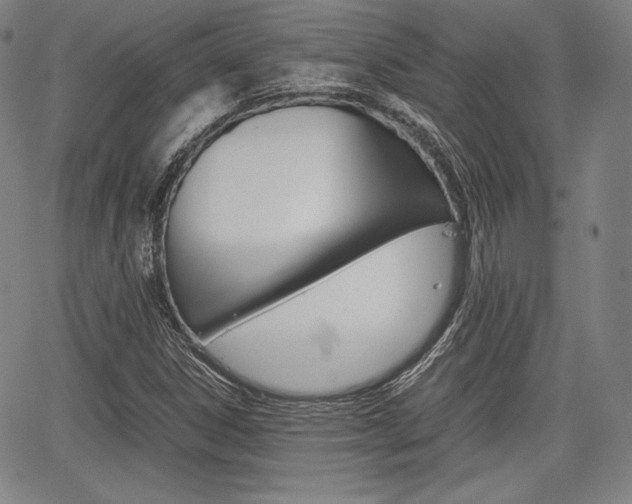 X0000067851306200604130909