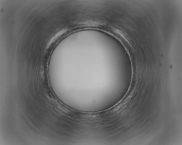 X0000067851307200604130909