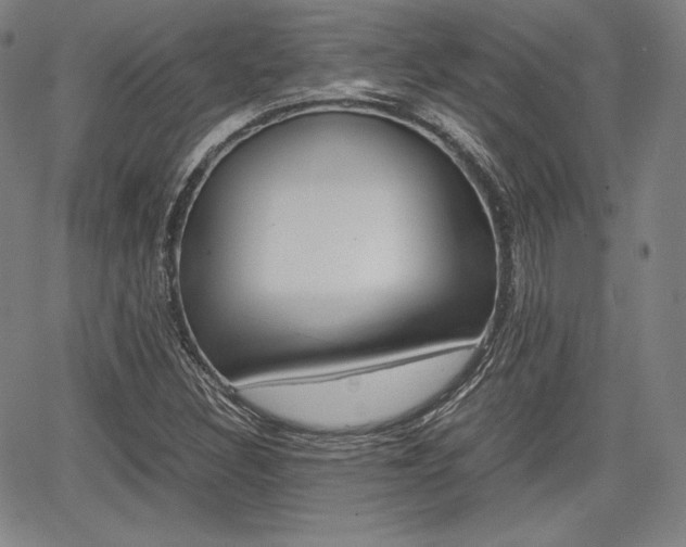 X0000067851308200604130909