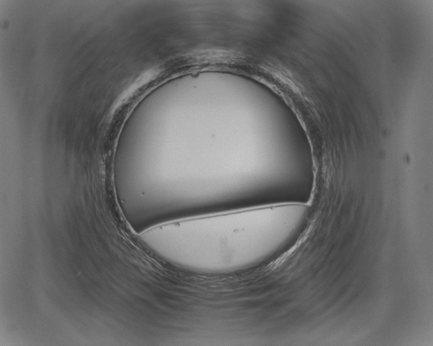 X0000067851309200604130909