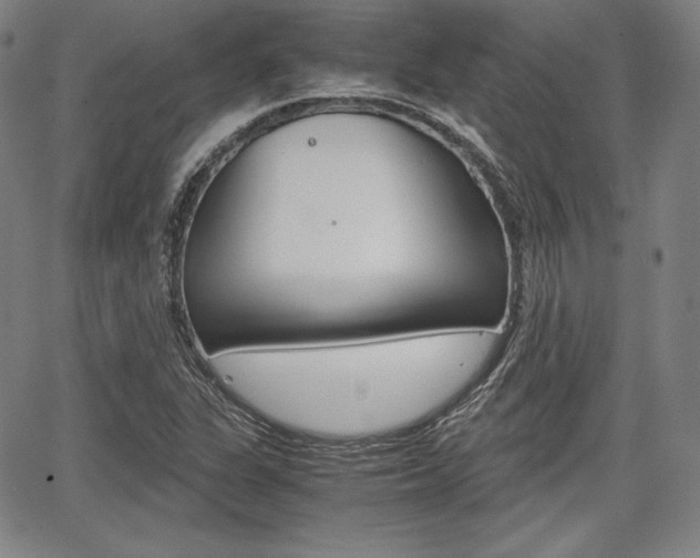 X0000067851311200604130909