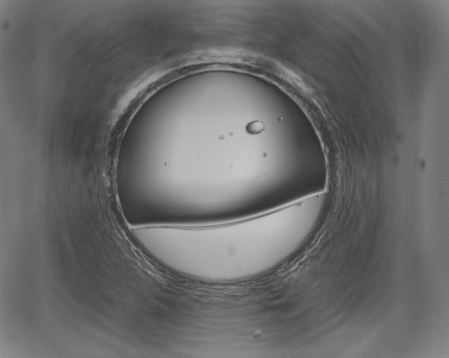 X0000067851312200604130909