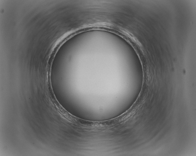X0000067851316200604130909