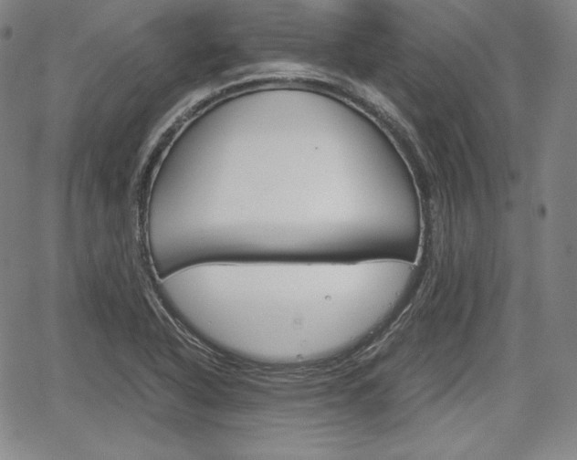 X0000067851318200604130909