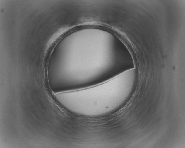 X0000067851319200604130909
