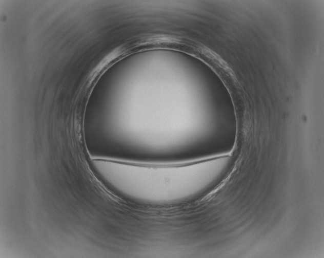 X0000067851321200604130909