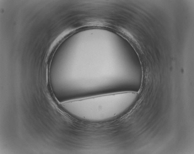 X0000067851323200604130909