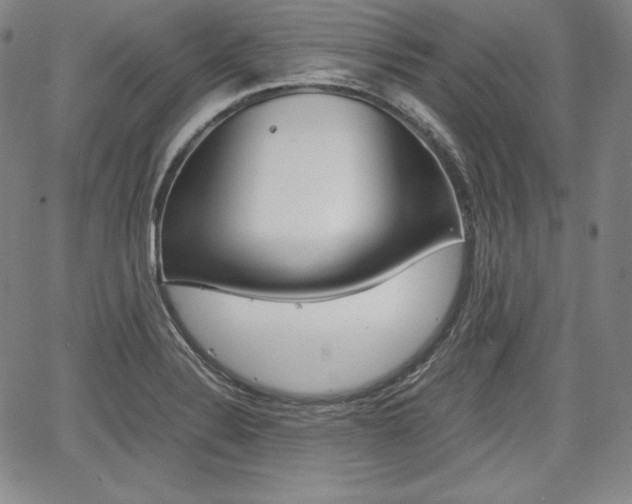 X0000067851324200604130909
