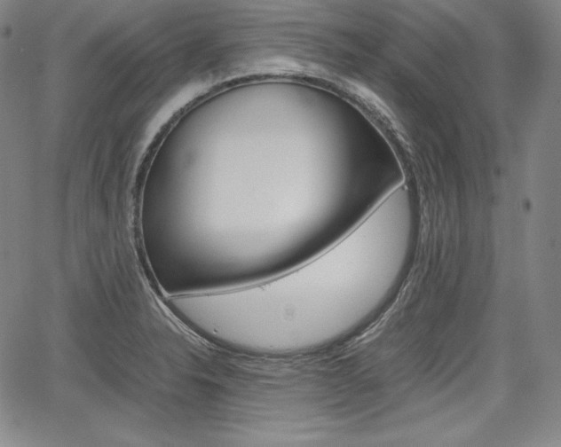 X0000067851326200604130909