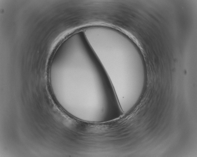 X0000067851327200604130909