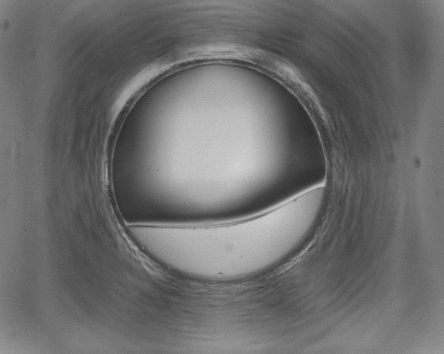 X0000067851328200604130909