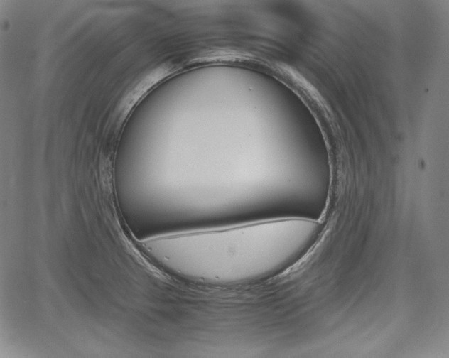 X0000067851329200604130909