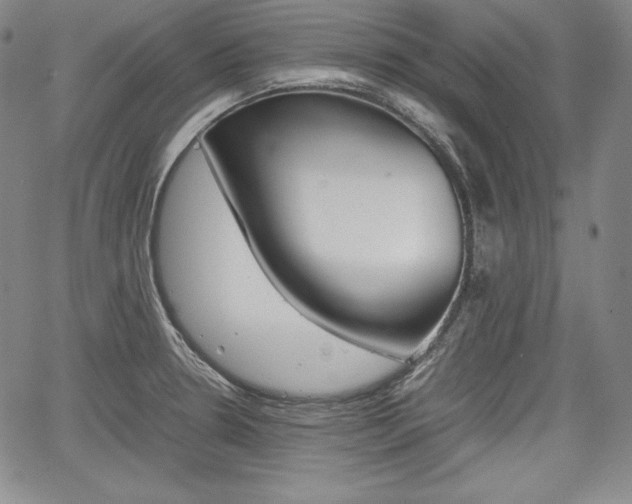 X0000067851330200604130909