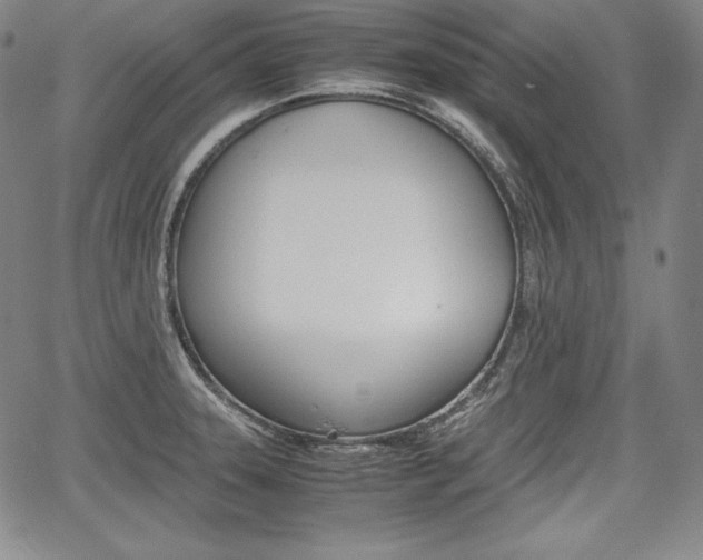 X0000067851331200604130909