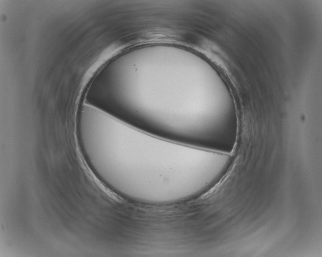 X0000067851333200604130909