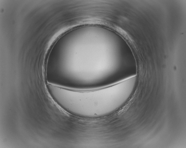 X0000067851334200604130909