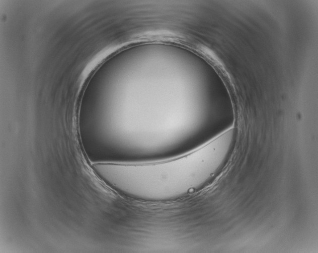 X0000067851336200604130910